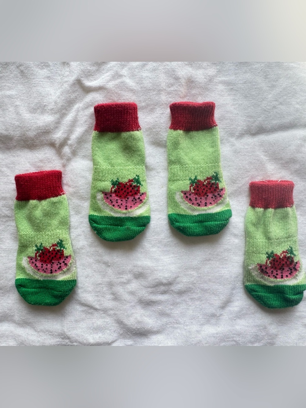 Paw Protectors Cute dog socks with fruits 🍉 🍓🍰 rubber grippies